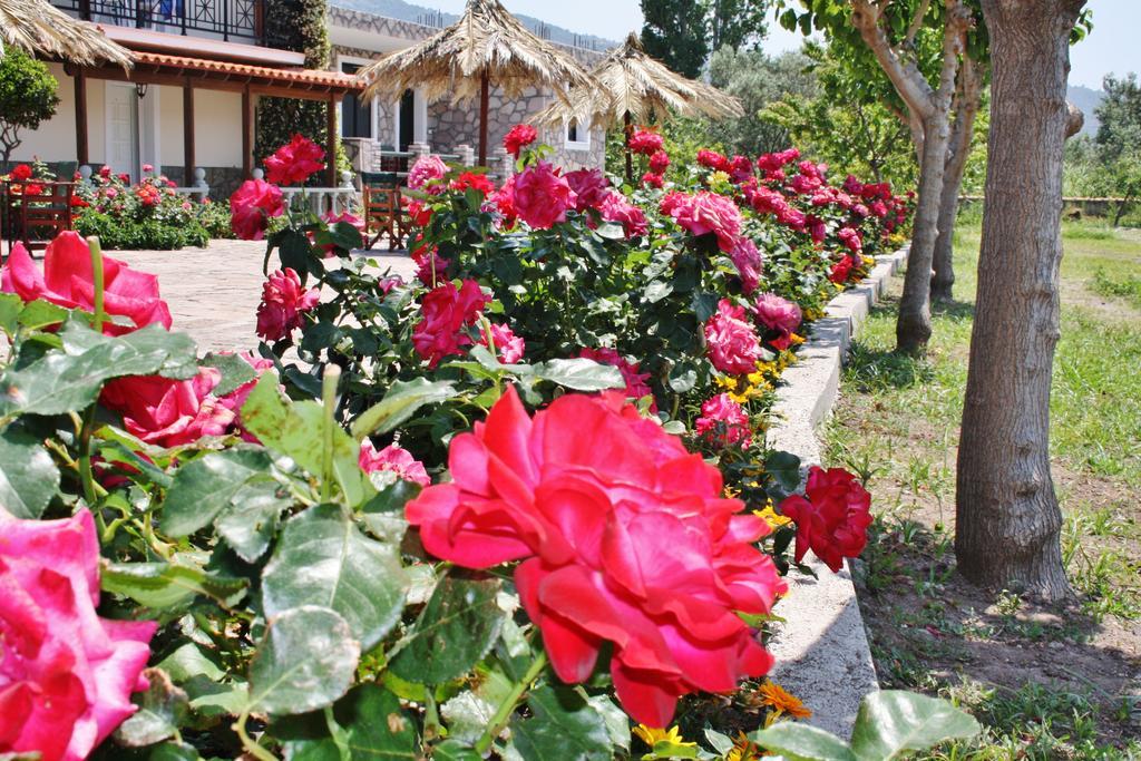 Villa Vicky Petra  Exterior foto